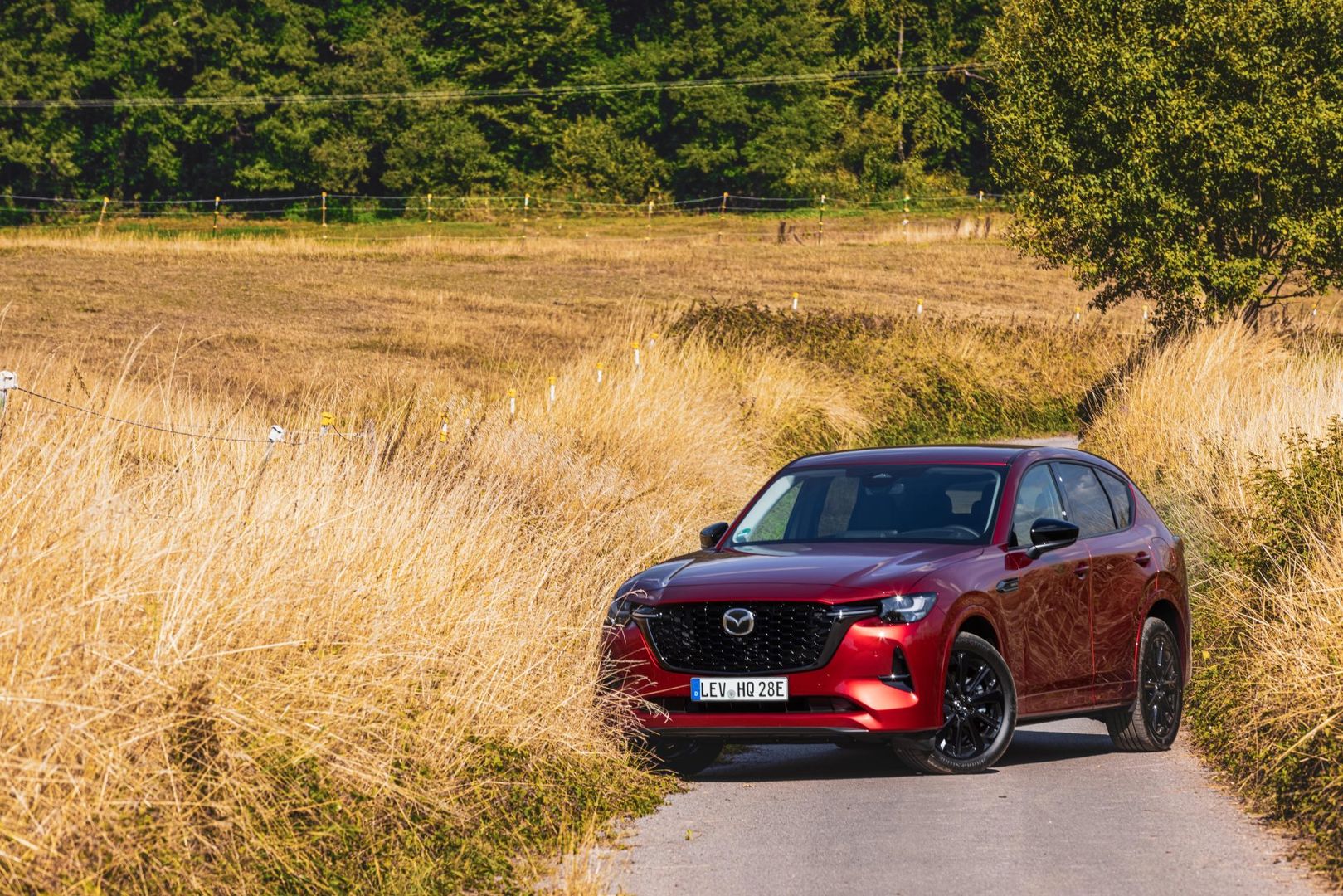 Mazda CX-60, fot. Rafał Szmidt