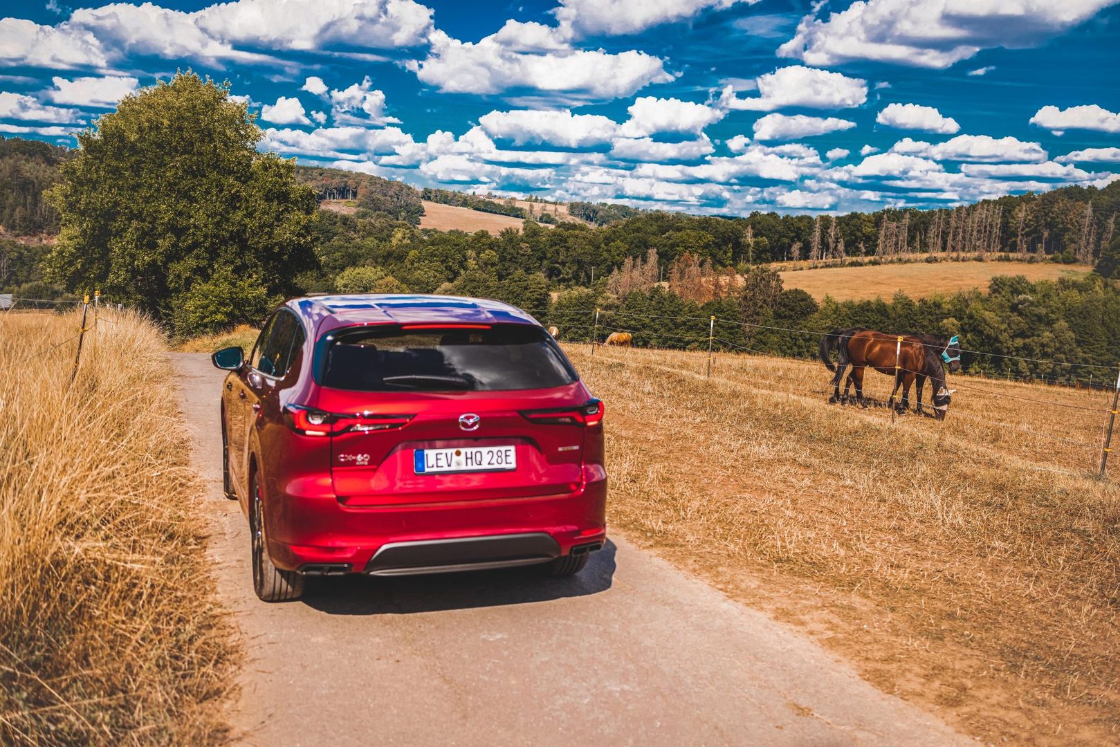 Mazda CX-60, fot. Rafał Szmidt