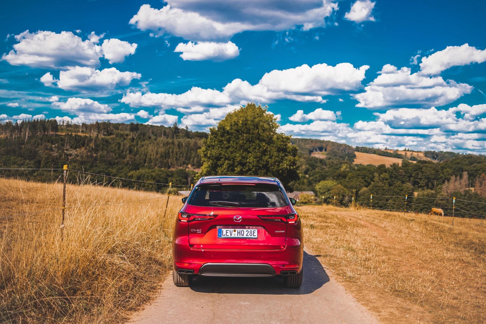 Mazda CX-60, fot. Rafał Szmidt