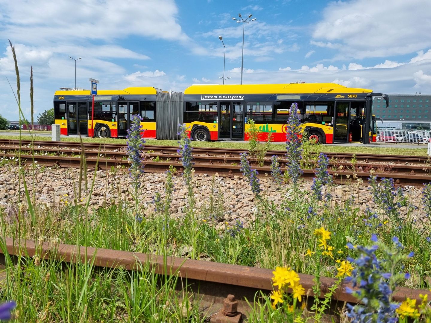 Kama - dziewczyna za kółkiem autobusu