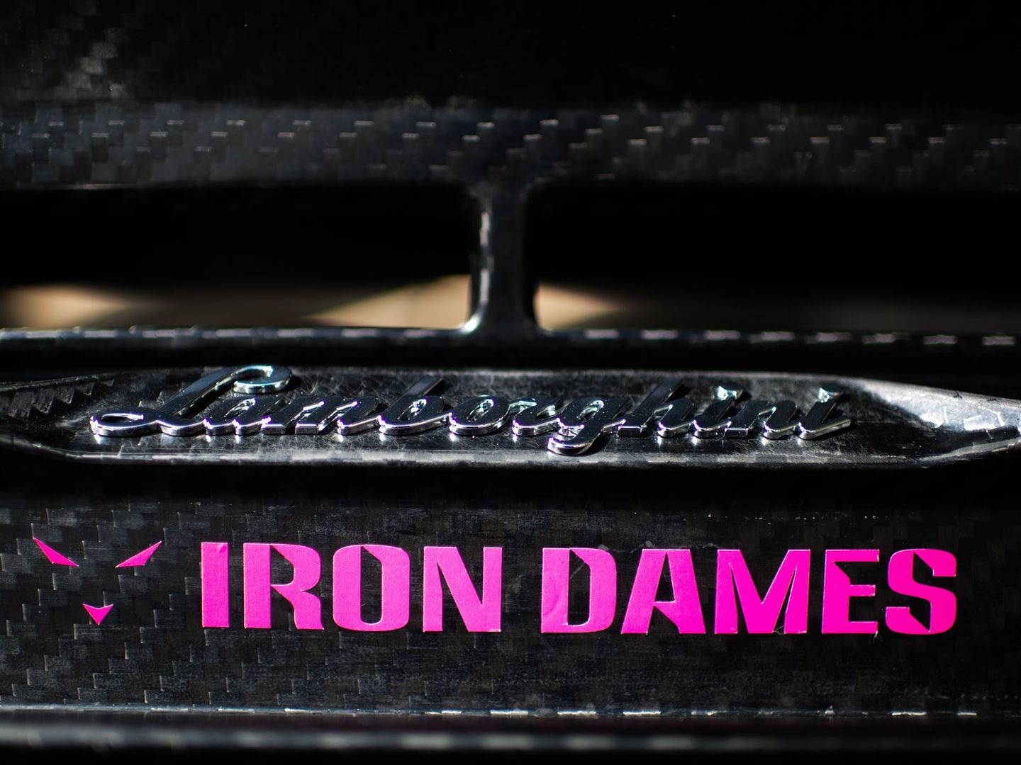 Iron Dames (fot. materiały prasowe)