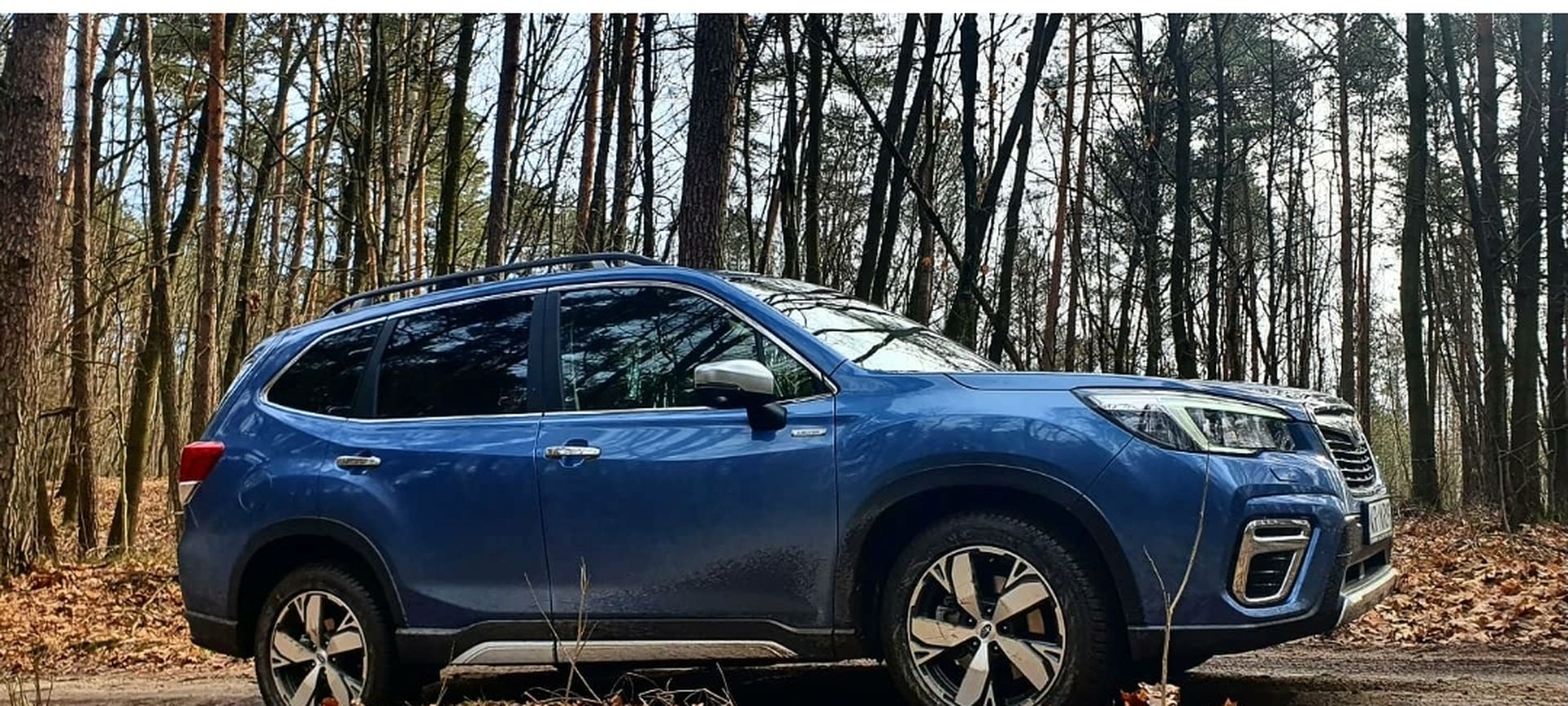 Test Subaru Forester 2.0 E-Boxer 150 Km Cvt Platinium - Auto Do Wszystkiego? | Motocaina.pl