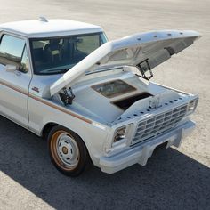 Ford F-100 Eluminator