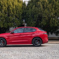 Alfa Romeo Tributo Italiano