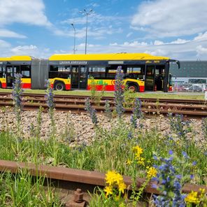 Kama - dziewczyna za kółkiem autobusu