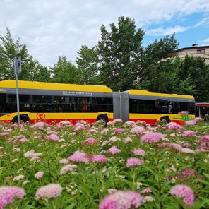 Kama - dziewczyna za kółkiem autobusu