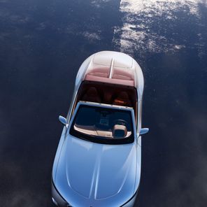 BMW Skytop