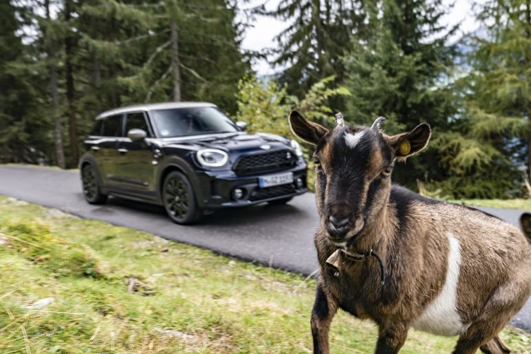 Mini Cooper SD Countryman ALL4