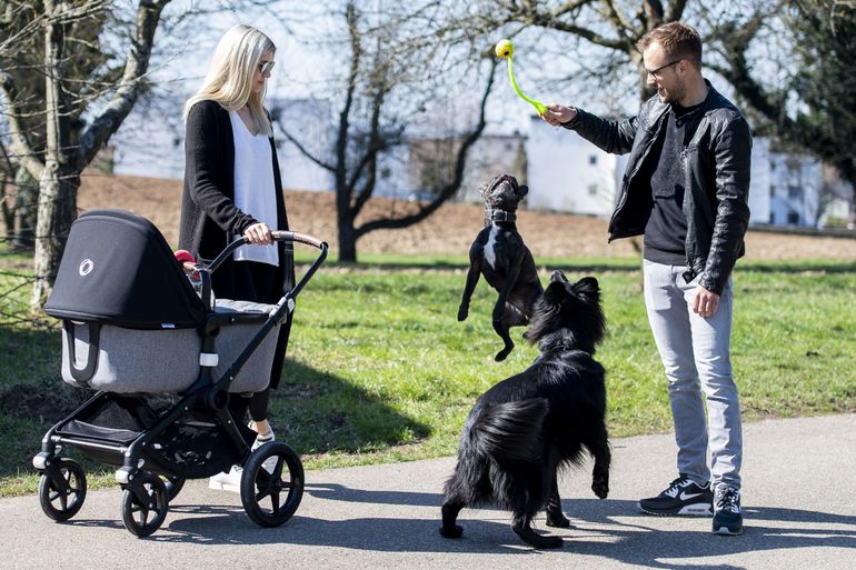 Efektowne driftowanie w drodze z salonu do kuchni? Laurens Vanthoor i jego roczna córeczką potrafią!