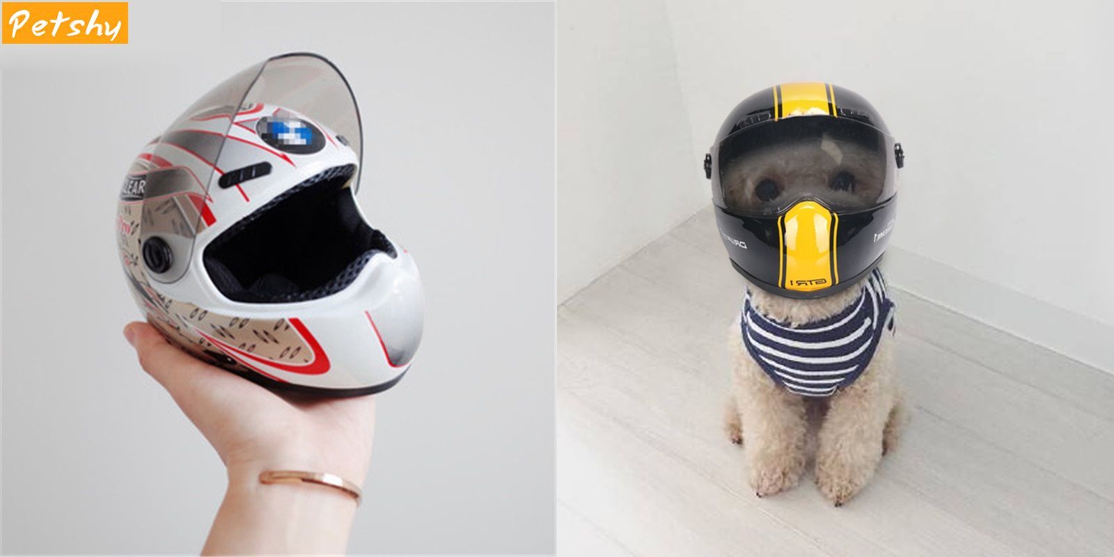 Kask dla kota i psa?