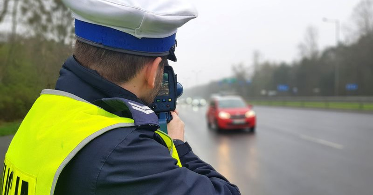 Planujesz wakacje? Tam na pewno spotkasz drogÃ³wkÄ!