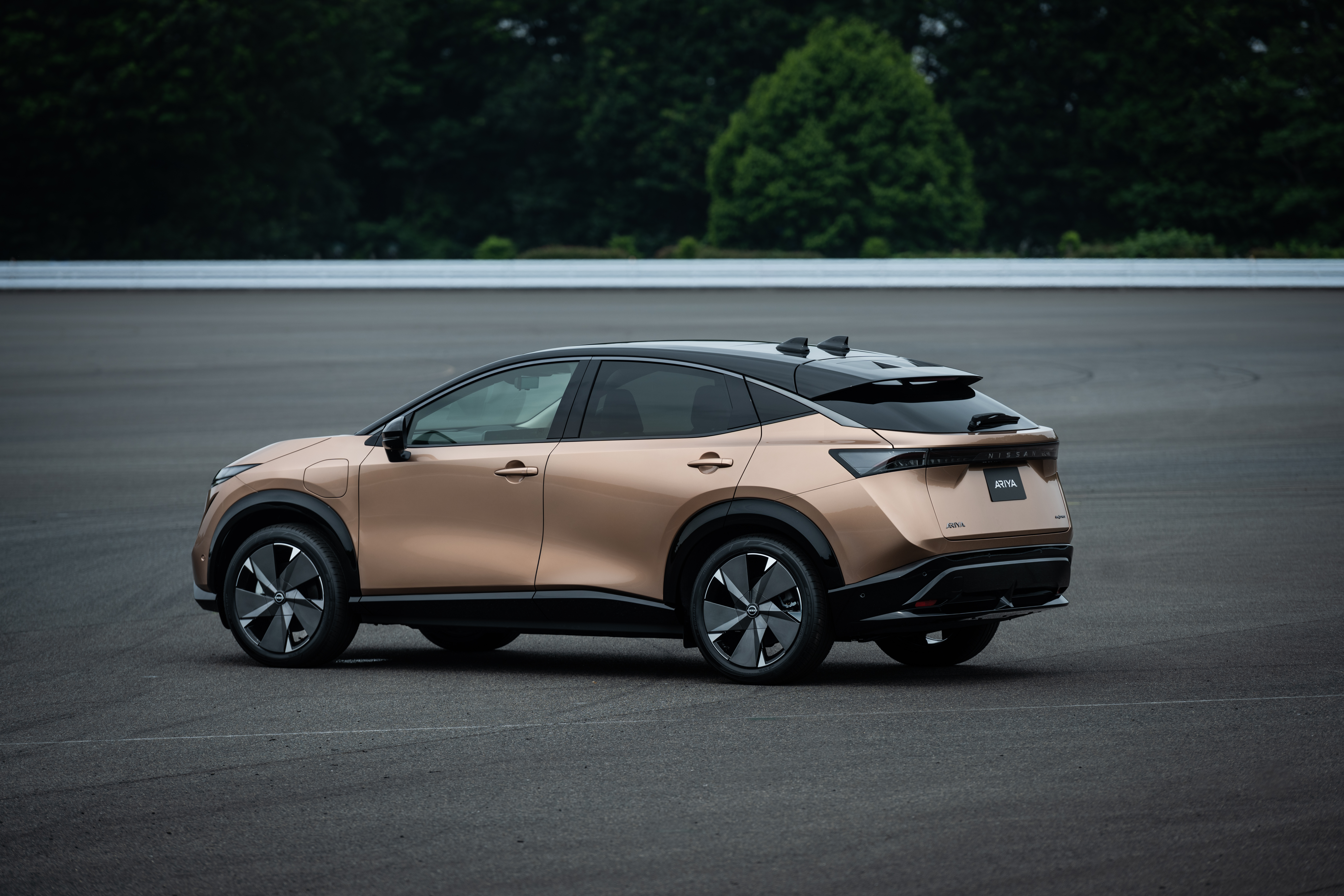 Nissan Ariya w koÅcu zaprezentowany. W peÅni elektryczny crossover coupÃ© wyjeÅ¼dÅ¼a na drogi!