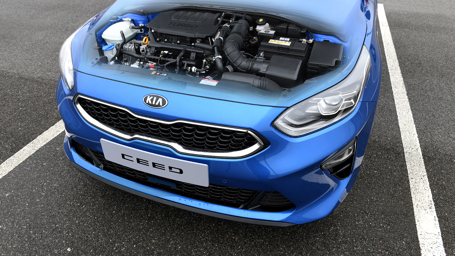 Kia Ceed z nowÄ gamÄ silnikÃ³w. TakÅ¼e z miÄkkÄ hybrydÄ pod maskÄ