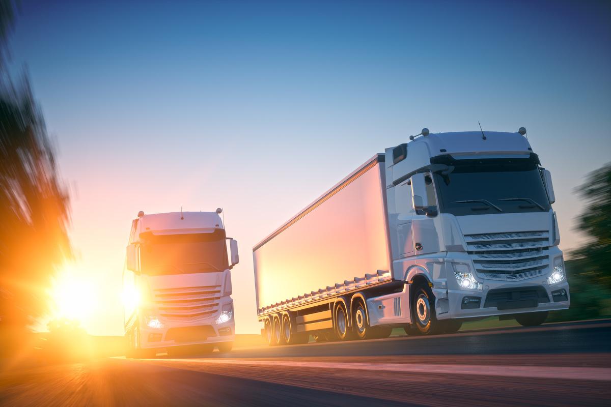 TrybunaÅ SprawiedliwoÅci UE: kary za nacisk do 11,5 tony w transporcie sÄ nielegalne! Co to oznacza?