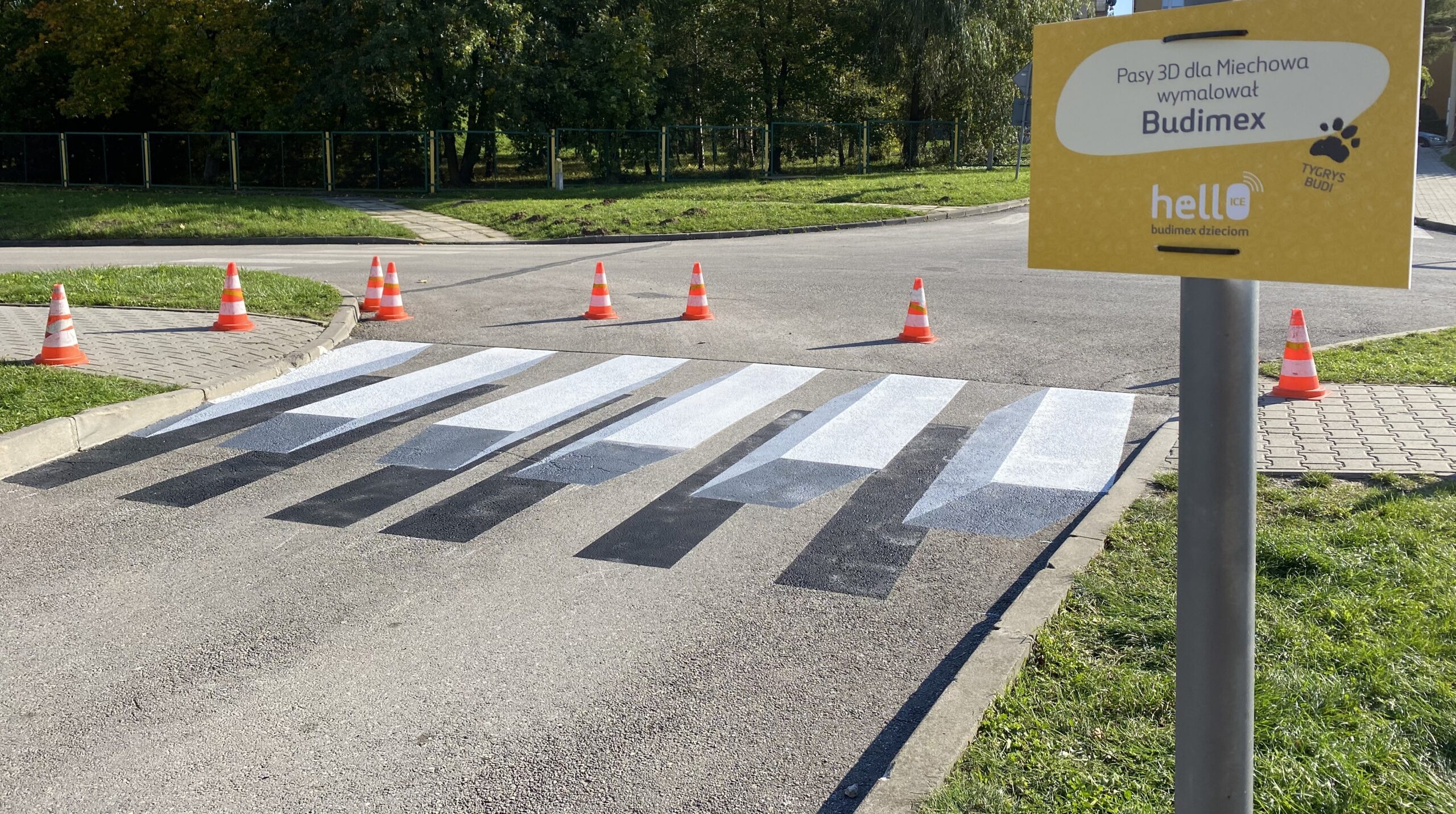 Trójwymiarowe przejście dla pieszych