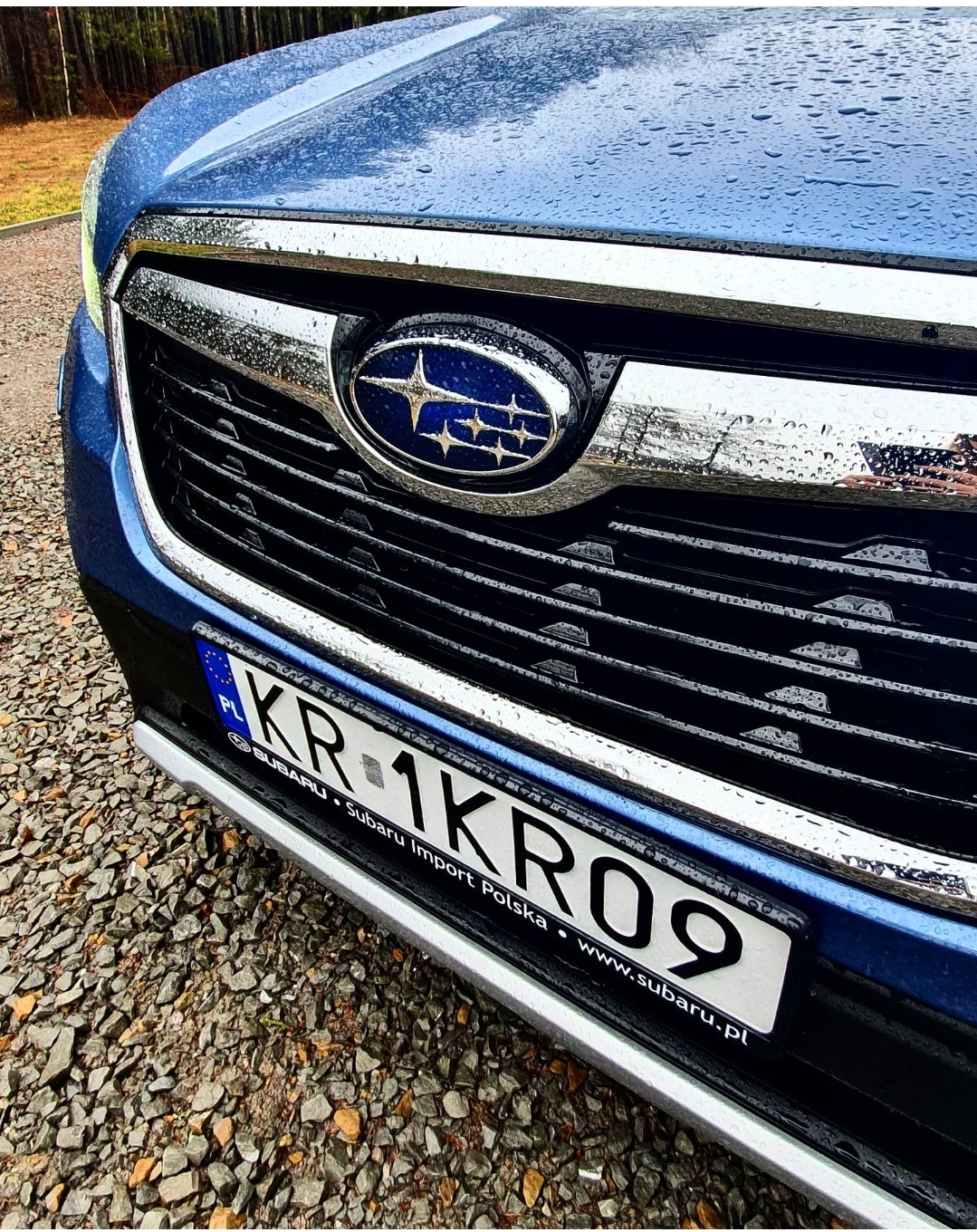 Test Subaru Forester 2.0 E-Boxer 150 Km Cvt Platinium - Auto Do Wszystkiego? | Motocaina.pl