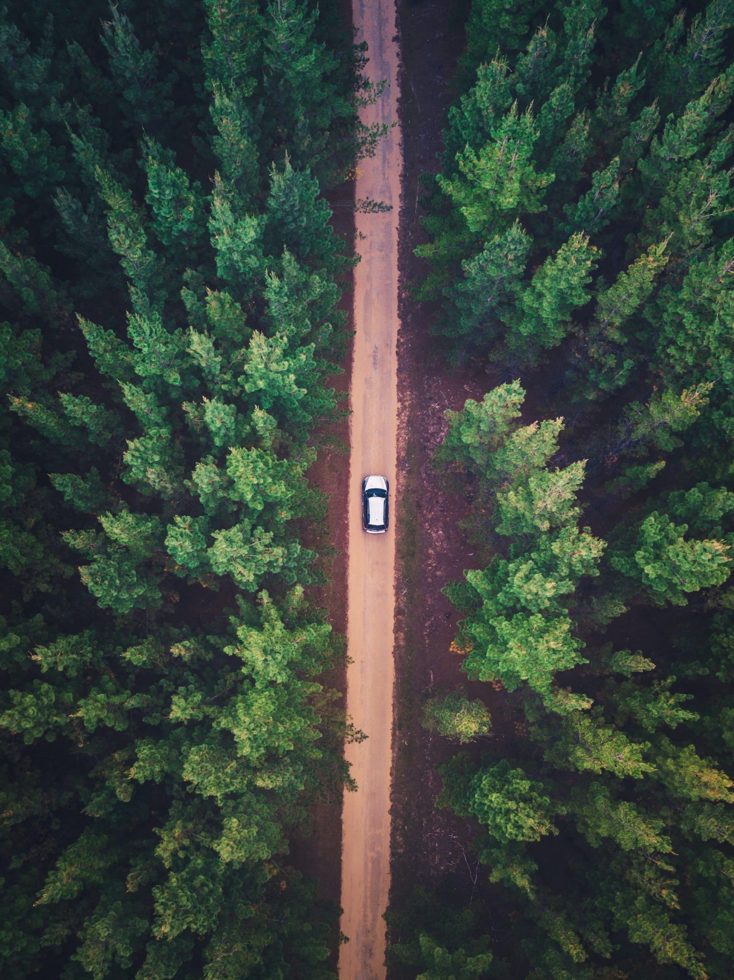 Eco Driving, czyli jak jeÅºdziÄ ekologicznie?