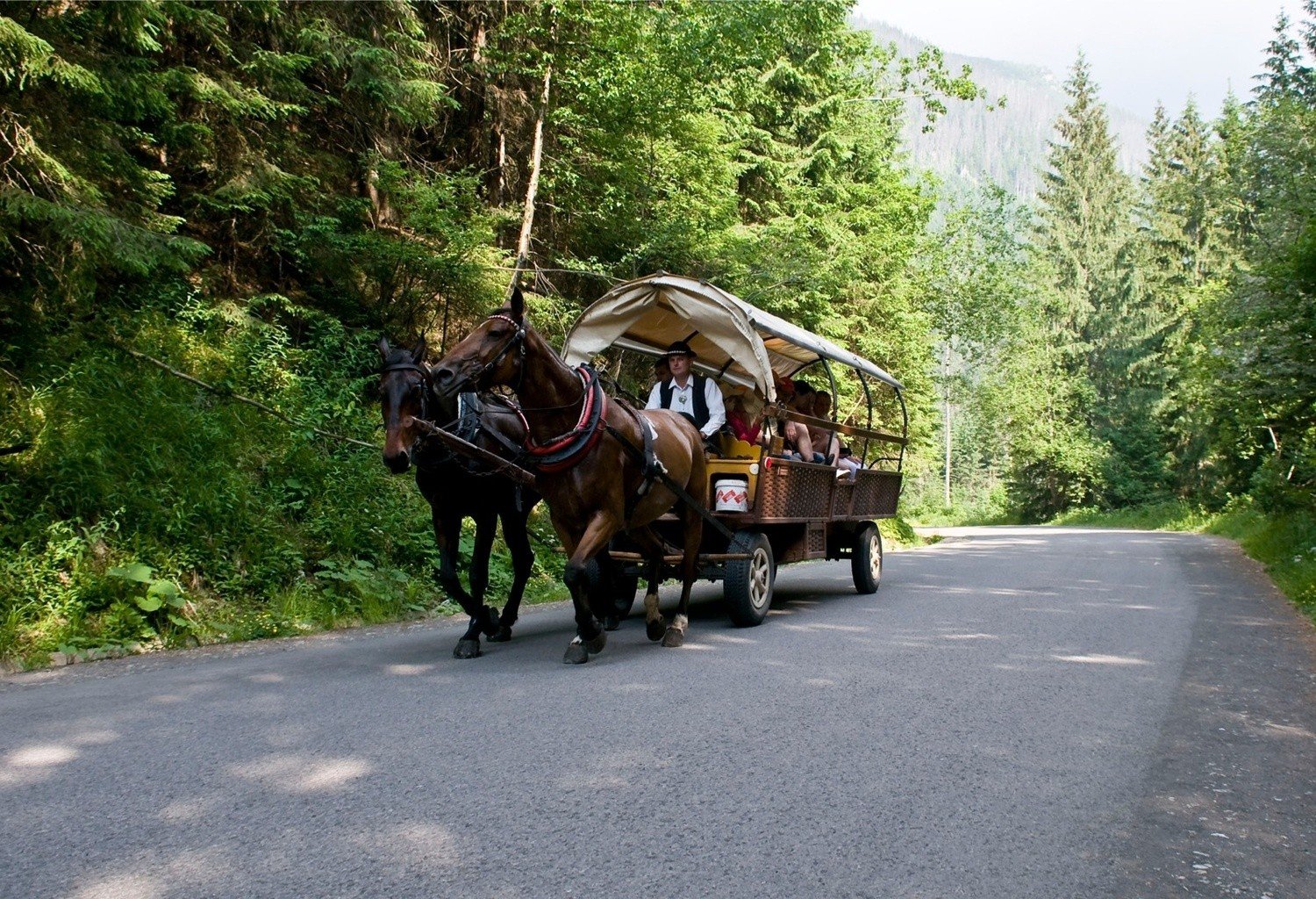 Na Morskie Oko pojedziemy... 
