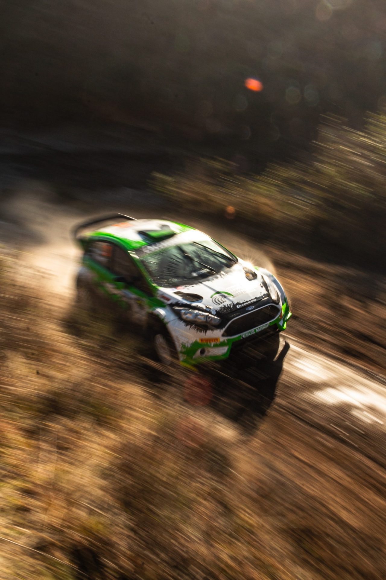 FIA i Polski ZwiÄzek Motorowy poszukujÄ rajdowych talentÃ³w!