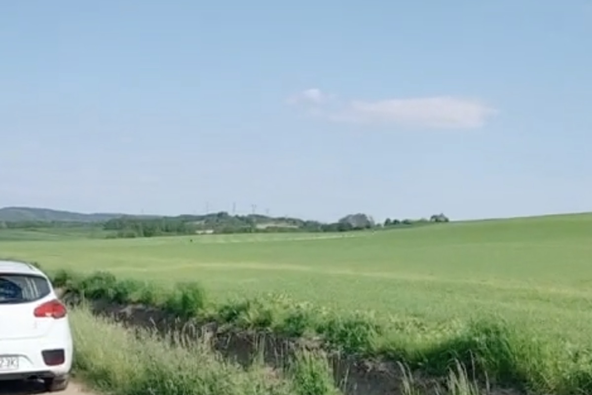 MotocykliÅci rozjeÅ¼dÅ¼ajÄ pole