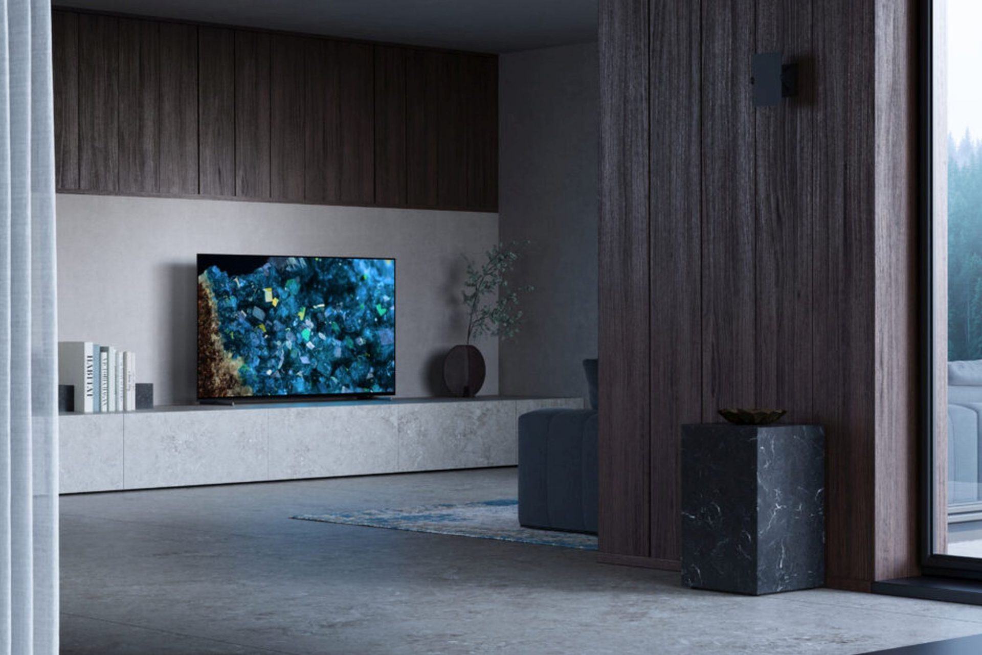 Sony Bravia OLED