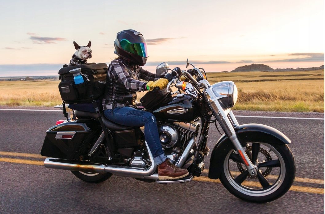 torby dla psa i kota na motocykl fot. Kuryakyn